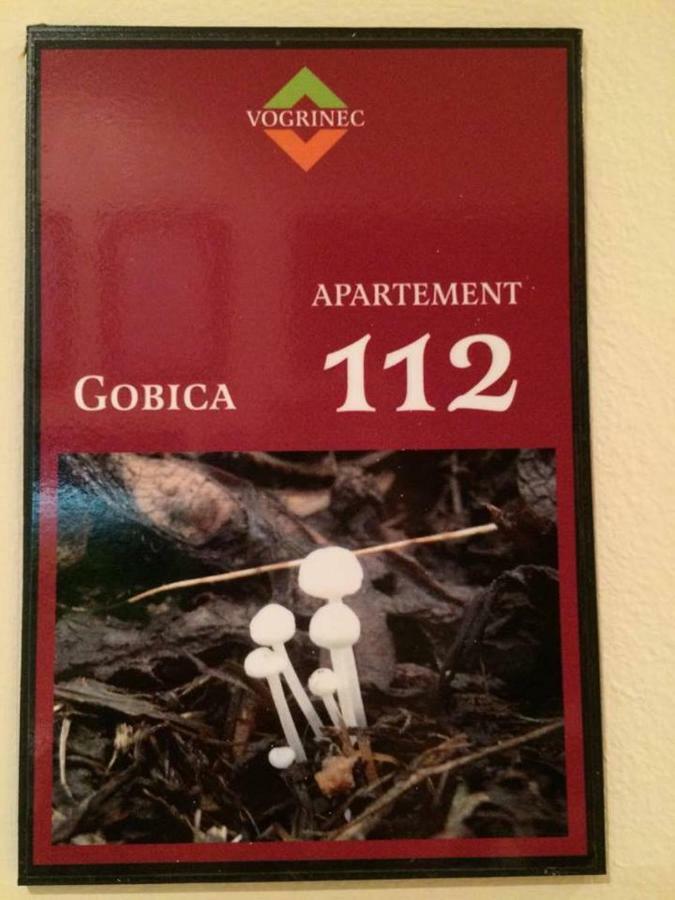 פטוי Apartments-Rooms Vogrinec מראה חיצוני תמונה